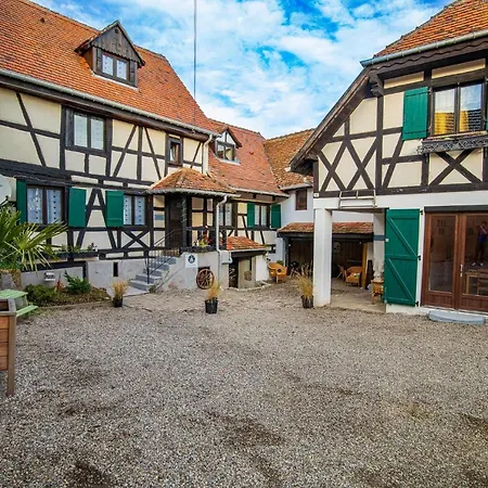 Le Vieux Pressoir Tatil Evi Dieffenthal