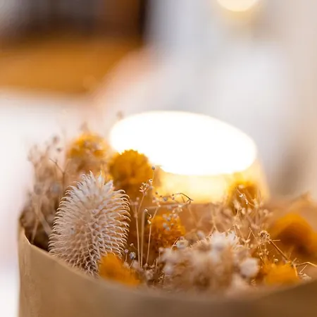 Le Vieux Pressoir * Dieffenthal