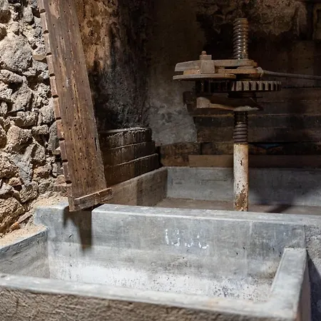 Le Vieux Pressoir Tatil Evi Dieffenthal