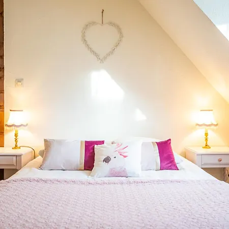 Le Vieux Pressoir Tatil Evi Dieffenthal