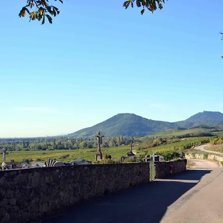 Le Vieux Pressoir Tatil Evi Dieffenthal